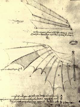 [A picture from Da Vinci's notebook]